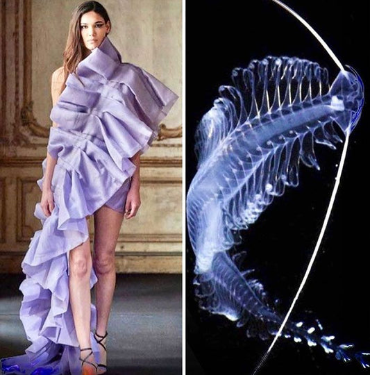 fashion design , fashion illustration , fashion model, How Do You Stay Up to Date with Fashion Trends?